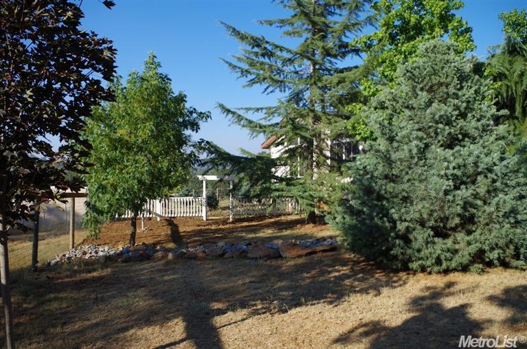 4905 Nance Dr, Pilot Hill, CA 95664 photo 18