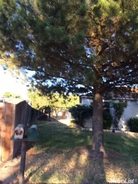 598 Springer, Lodi, CA 95242 photo 3