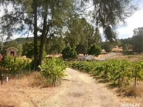 9900 Beaver Loop, Ione, CA 95640 photo 16
