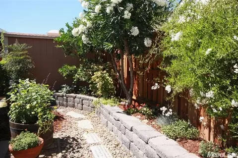 2417 Sparrow Ct, Davis, CA 95616 photo 20