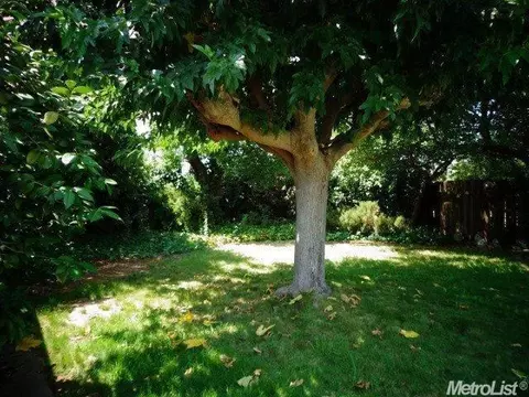15015 E Peltier Rd, Acampo, CA 95220 photo 20