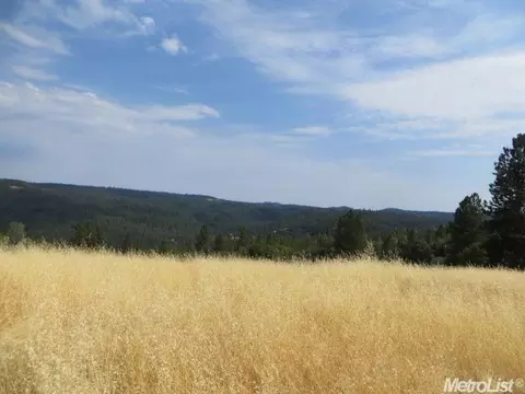 16920 Charleston Rd, Volcano, CA 95689 photo 25