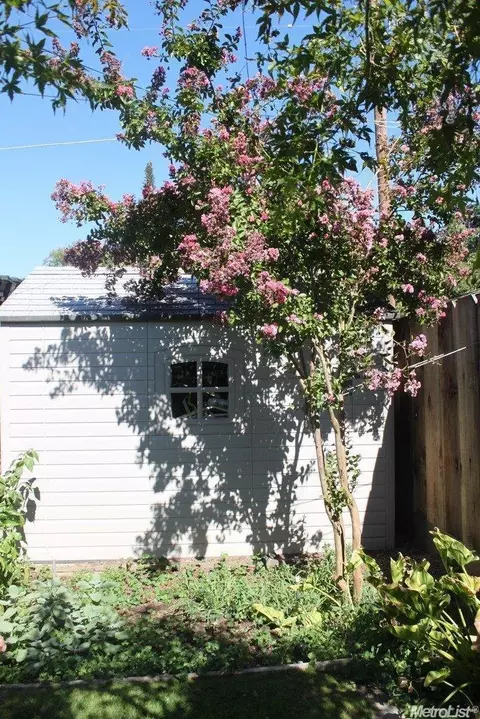 718 W Pine St, Lodi, CA 95240 photo 5