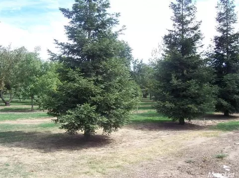624 Rutledge Dr, Lodi, CA 95242 photo 22