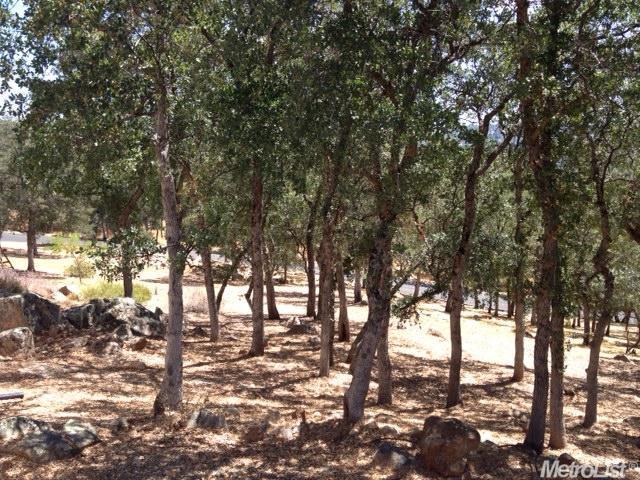 13493 Wilson Ct, Sonora, CA 95370 photo 23