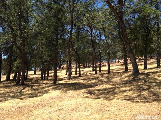 13493 Wilson Ct, Sonora, CA 95370 photo 3