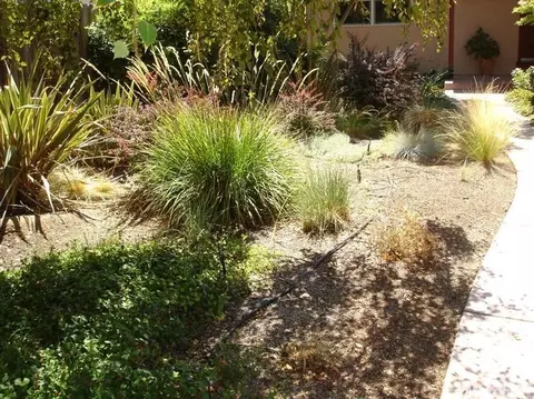 1500 Drexel Dr, Davis, CA 95616 photo 2
