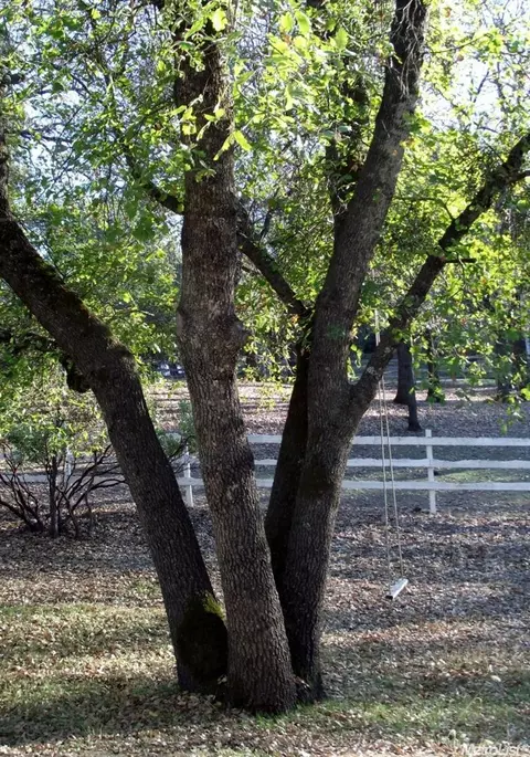 21910 Montgomery Rd, Sonora, CA 95370 photo 3