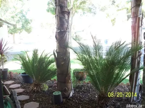 624 Berlin Way, Patterson, CA 95363 photo 4