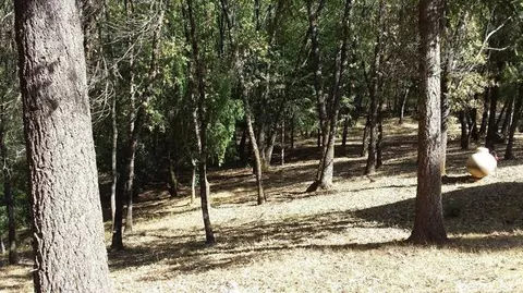 1140 White Oak Dr, Colfax, CA 95713 photo 9