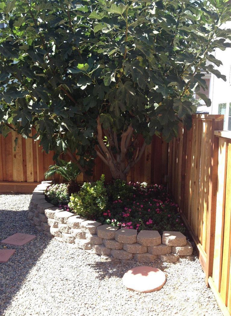 349 Burlington Dr, Tracy, CA 95376 photo 16