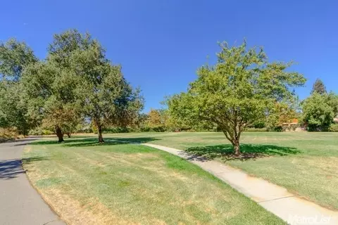 4210 Dogwood Pl, Davis, CA 95618 photo 6