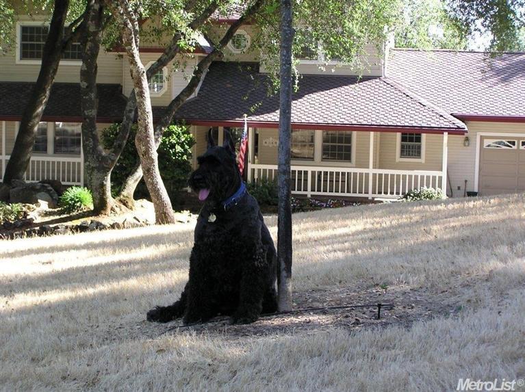 6140 Cobblestone Rd, Placerville, CA 95667 photo 25