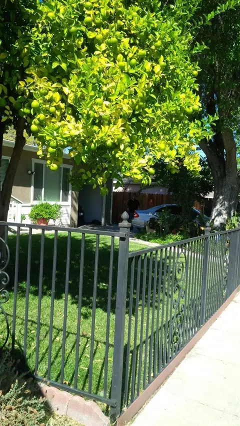 1771 Sunshine Dr, Concord, CA 94520 photo 25