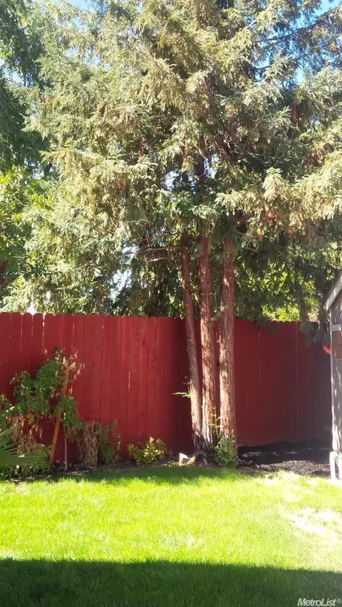 1771 Sunshine Dr, Concord, CA 94520 photo 22