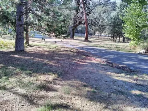 4010 Pleasant Valley Rd, Placerville, CA 95667 photo 17