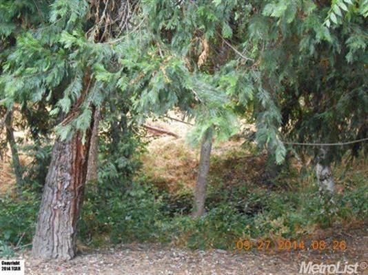 16523 Creekside, Sonora, CA 95370 photo 3