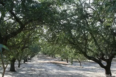 737 S Mitchell Rd, Turlock, CA 95380 photo 3
