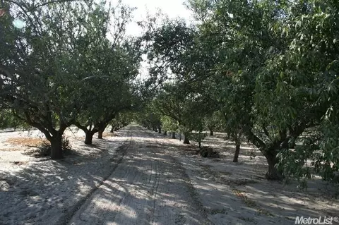 737 S Mitchell Rd, Turlock, CA 95380 photo 8