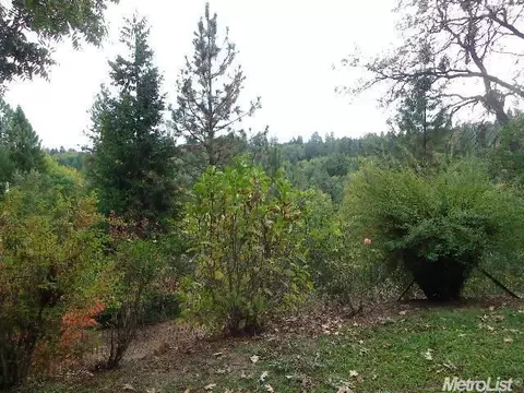 1910 Mountain Way, Placerville, CA 95667 photo 15