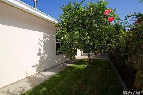 97 Elderica, Lodi, CA 95242 photo 23