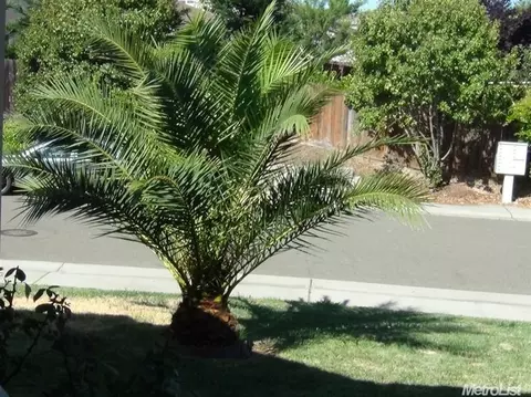4209 Winje Dr, Antelope, CA 95843 photo 3