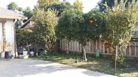 3060 N Olive Ave, Turlock, CA 95382 photo 21