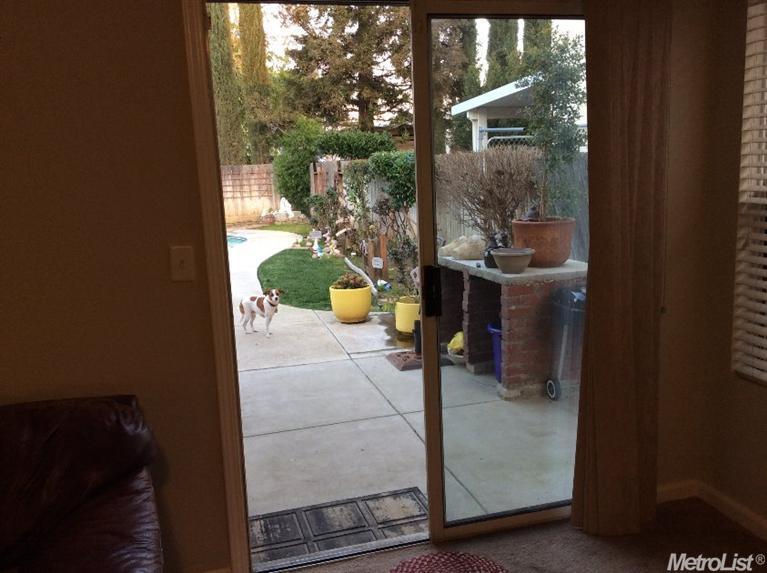 342 Goshawk, Patterson, CA 95363 photo 19