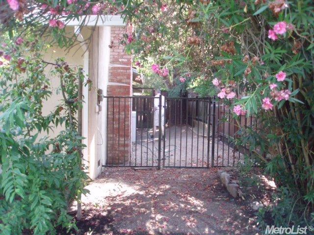 907 Oeste Dr, Davis, CA 95616 photo 3