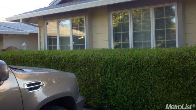 907 Oeste Dr, Davis, CA 95616 photo 2