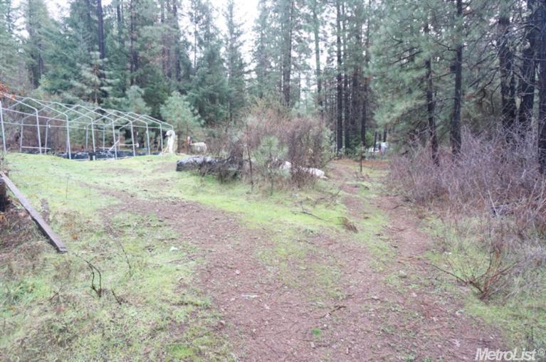 940 Trinity Pines Dr, Hayfork, CA 96041 photo 1