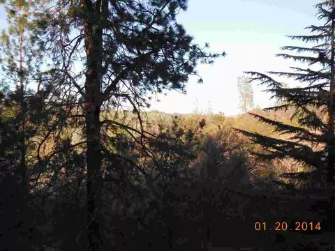 16294 Rossbridge Rd, Jackson, CA 95642 photo 27