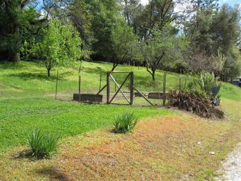 16935 Climax Rd, Jackson, CA 95642 photo 6
