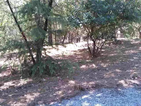 20961 Warner E, Pine Grove, CA 95665 photo 22