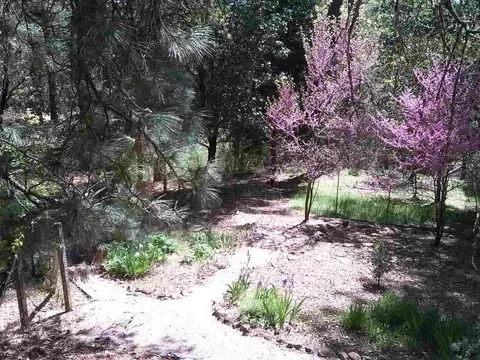20961 Warner E, Pine Grove, CA 95665 photo 29