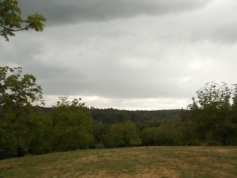 2323 Spink, West Point, CA 95255 photo 9