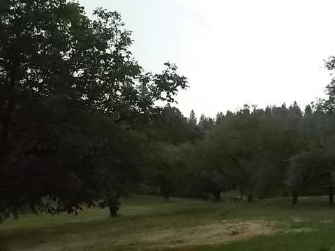 2323 Spink, West Point, CA 95255 photo 15