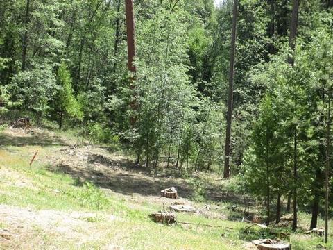 1321 Bald Mountain Rd, West Point, CA 95255 photo 28