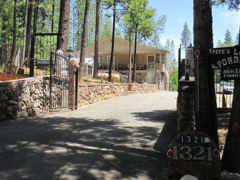 1321 Bald Mountain Rd, West Point, CA 95255 photo 24