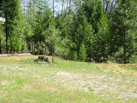 1321 Bald Mountain Rd, West Point, CA 95255 photo 26