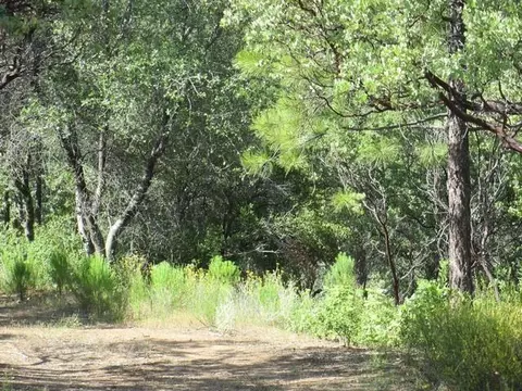 9354 Rodesino Rd, Mountain Ranch, CA 95246 photo 14