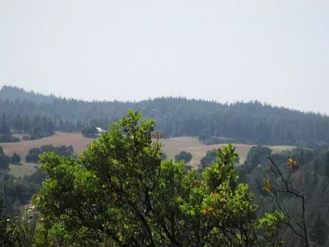 9354 Rodesino Rd, Mountain Ranch, CA 95246 photo 11