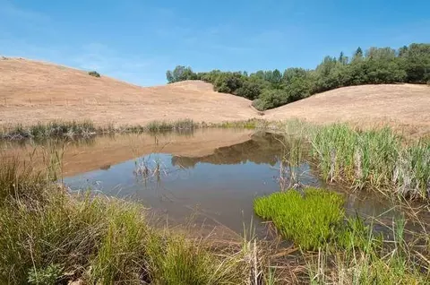 11721 New York Ranch Rd, Jackson, CA 95642 photo 10