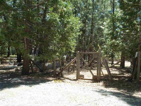 1392 Palmer Ave, West Point, CA 95255 photo 20