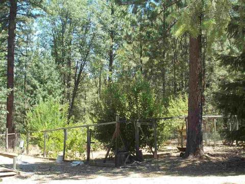 1392 Palmer Ave, West Point, CA 95255 photo 23