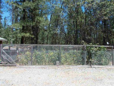 1392 Palmer Ave, West Point, CA 95255 photo 24