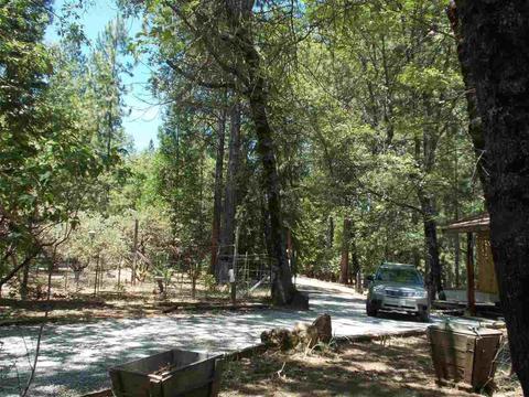 1392 Palmer Ave, West Point, CA 95255 photo 22