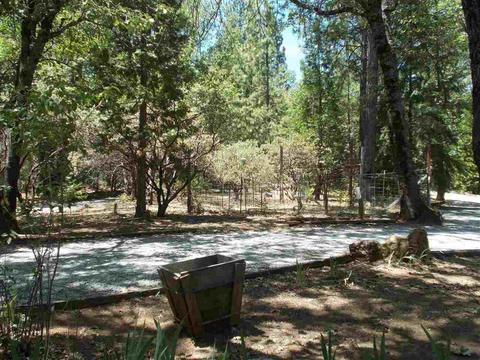 1392 Palmer Ave, West Point, CA 95255 photo 19