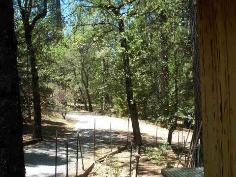 1392 Palmer Ave, West Point, CA 95255 photo 18