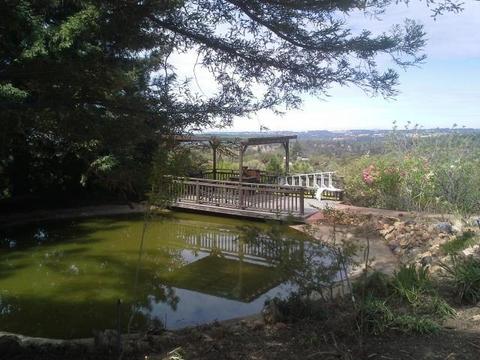 11290 Upper Previtali Rd, Jackson, CA 95642 photo 4